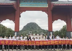  2009年f1揭幕战中获得冠军的车队是 